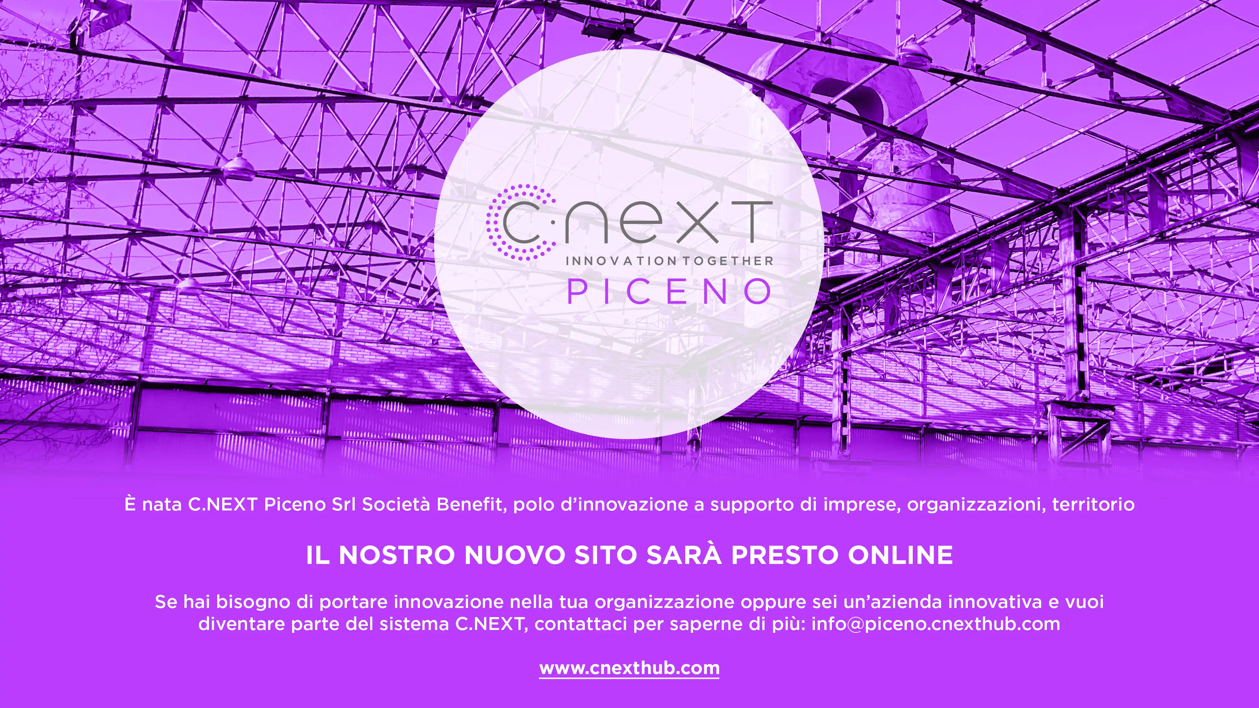 C.NEXT Piceno