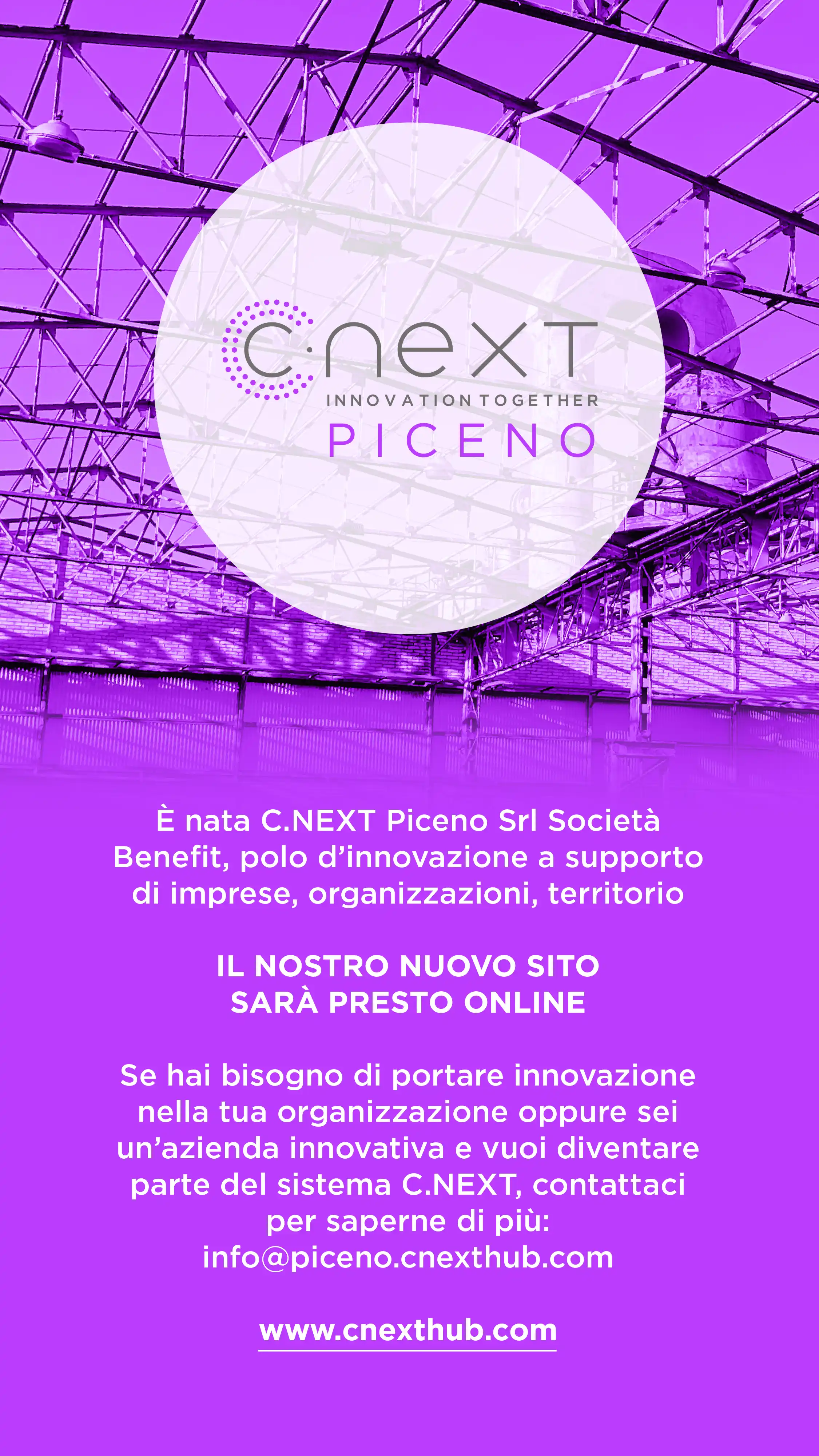 C.NEXT Piceno